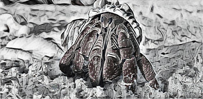 Déchiffrer le ransomware GandCrab Déchiffrer le ransomware GandCrab